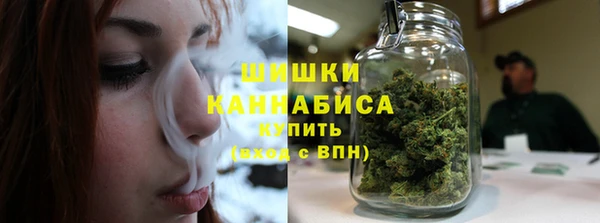 стаф Кулебаки