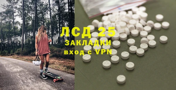 стаф Кулебаки