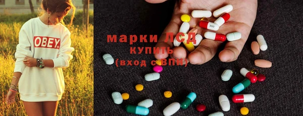 стаф Кулебаки
