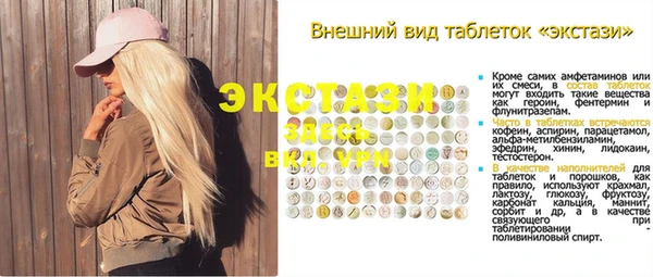 стаф Кулебаки