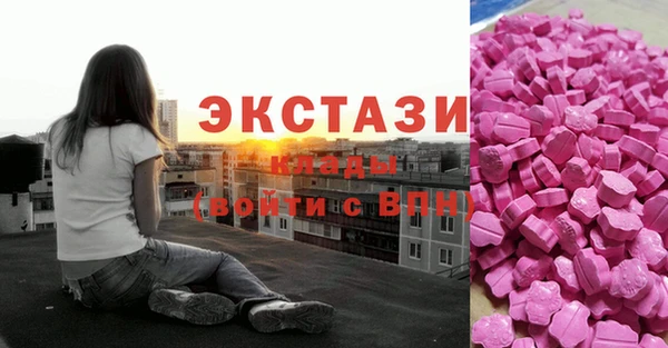 стаф Кулебаки